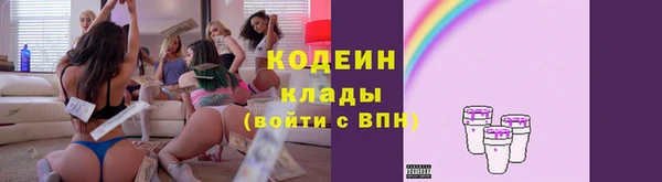 твердый Верхний Тагил