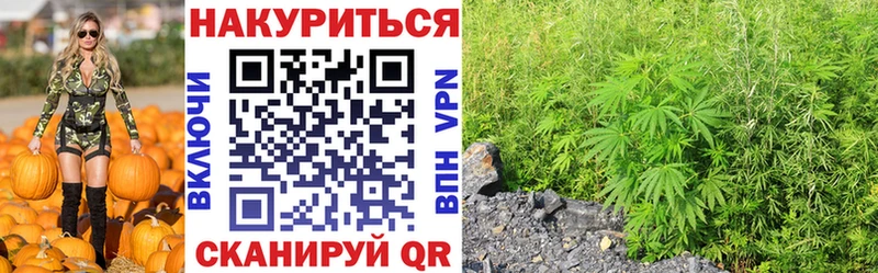 Марихуана AK-47  mega как войти  Катав-Ивановск  купить закладку 